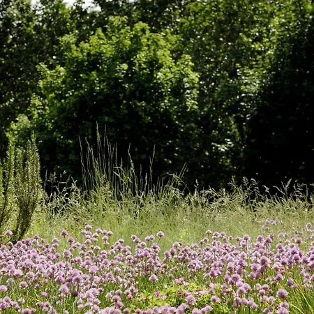 Maison Decoret Vichy