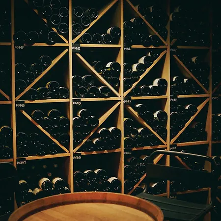 Maison Decoret - Relais & Chateaux מלון וישי