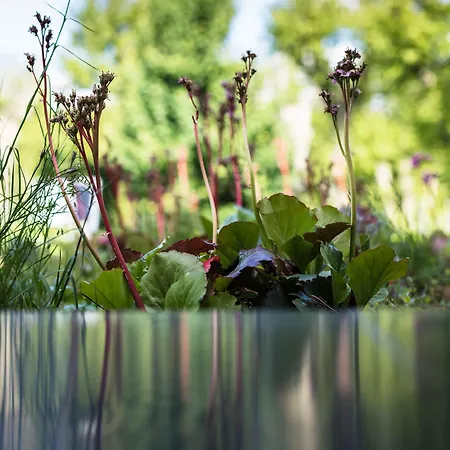 Hotel Maison Decoret - Relais&châteaux 4*