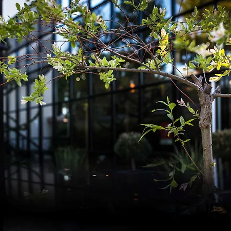 Maison Decoret - Relais&châteaux Hotel 4*