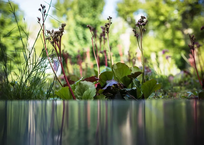 Hotel Maison Decoret - Relais & Chateaux 4*