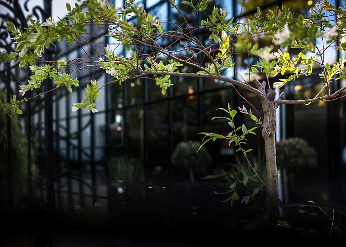 Maison Decoret - Relais&châteaux Hotel 4*